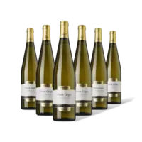 Mastri Vernacoli Pinot Grigio 6 flessen