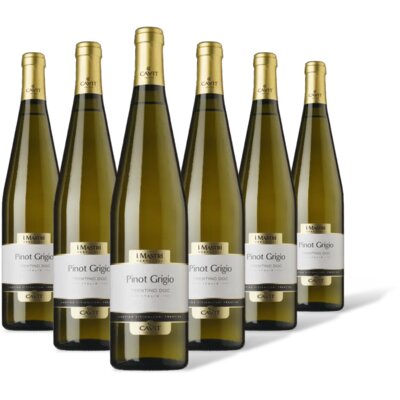 pdp-image-Mastri Vernacoli Pinot Grigio 6 flessen