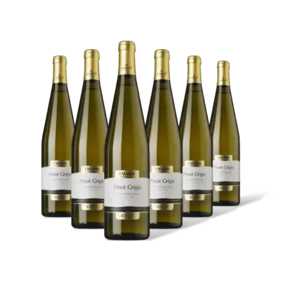 pdp-image-Mastri Vernacoli Pinot Grigio 6 flessen