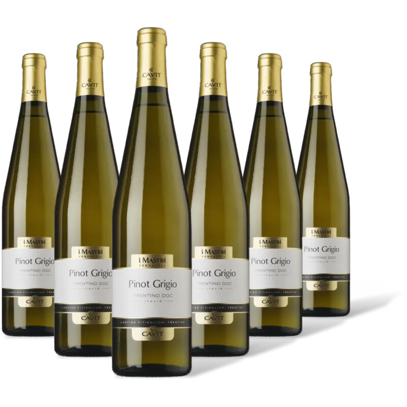 Mastri Vernacoli Pinot Grigio 6 flessen