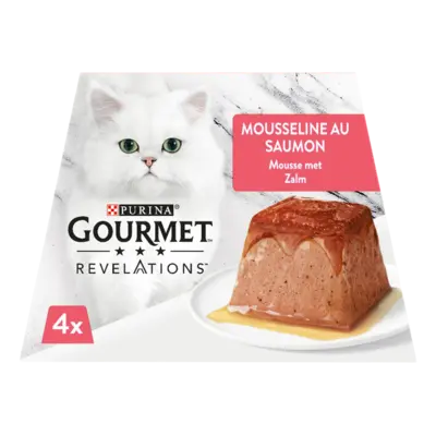 pdp-image-Gourmet Revelations mousse met zalm