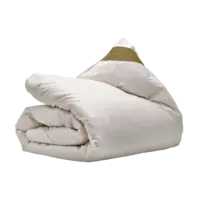 Ten Cate Dekbed 4-seizoenen dons 100 140x220