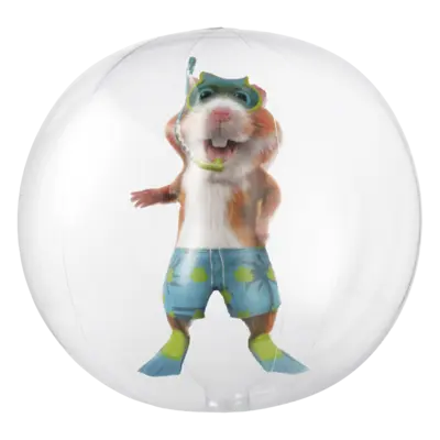 pdp-image-AH Hamster XL strandbal