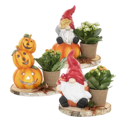 pdp-image-AH Halloween arrangement op houten bordje