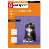 Dsp 3* woordz vakantieboek