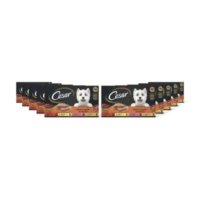 pdp-image-Cesar Classic in patÃ© 10-pack