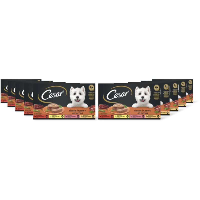 Cesar Classic in patÃ© 10-pack