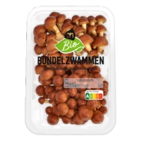 AH Biologisch Bundelzwammen