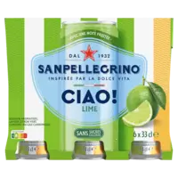 S. Pellegrino Ciao lime 6-pack