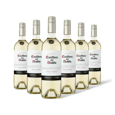 pdp-image-Casillero del Diablo Pinot grigio reserva 6 flessen