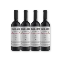Baglio di grisi Nero d'avola 4 flessen