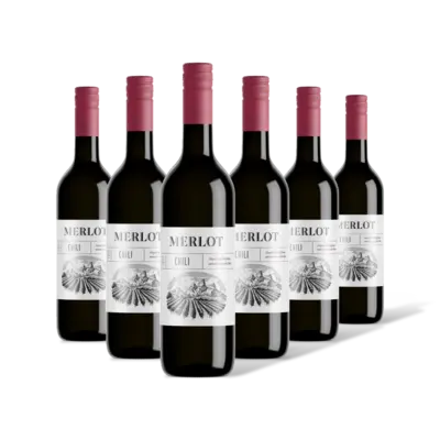 pdp-image-AH Merlot 6 flessen