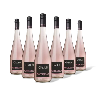 pdp-image-Galilei Frizzante watermelon 6 stuks