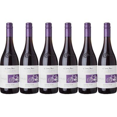 pdp-image-Cono Sur Bicicleta pinot noir 6 flessen