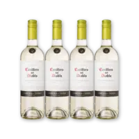 Casillero del Diablo Casillero Sauv. Blanc Res. 4 flessen