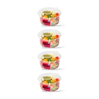 AH Kleine salade italiaans 4-pack