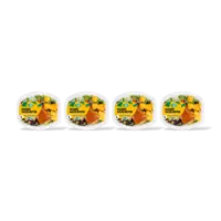 AH Terra Plantardig maaltijdsalade mango hazl 4pk