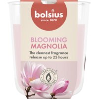 Een afbeelding van Bolsius True scents geurglas magnolia 8cm