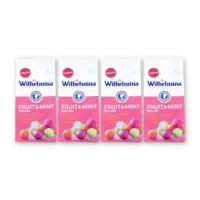 Wilhelmina Fruit & mint ballen 4-pack
