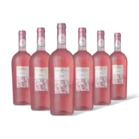 Ulisse Rose 6 flessen