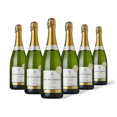 pdp-image-AH Excellent Selectie champagne brut Cru 6 flessen