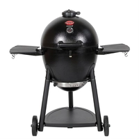 Char-griller akorn kamado