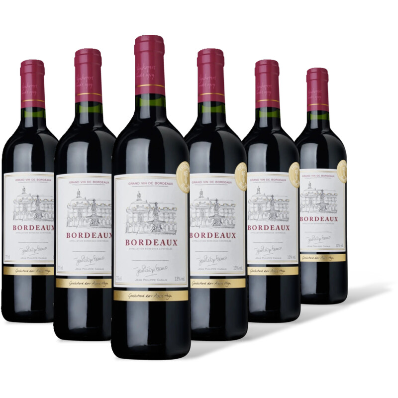 AH Excellent Selectie bordeaux 6 flessen