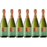 Hola! Barcelona organic brut cava 6 flessen