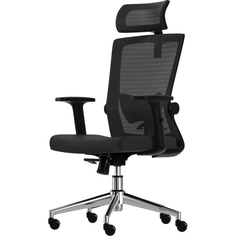 Een afbeelding van Lifegoods Ergonomische bureaustoel