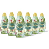 Robijn Color kokos wasmiddel 6-pack