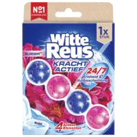 Witte Reus Kracht actief bloesem