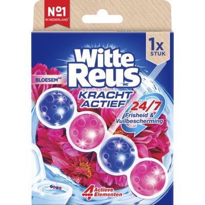 pdp-image-Witte Reus Kracht actief bloesem