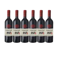 Camden Park Shiraz 6 flessen