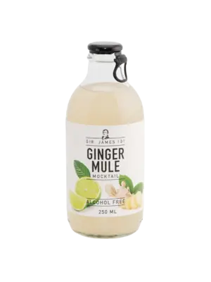pdp-image-Sir. James 101 Ginger mule