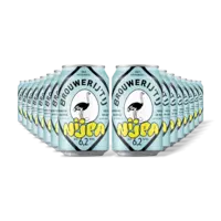 Brouwerij 't IJ Nijpa 16-pack
