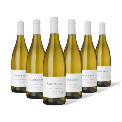 pdp-image-Nicolas Carlin Sancerre 6 flessen