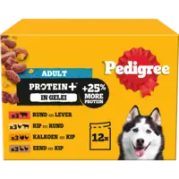 Pedigree Adult protein+ selectie in gelei