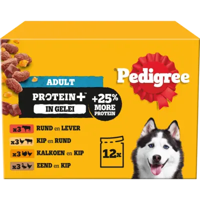 pdp-image-Pedigree Adult protein+ selectie in gelei