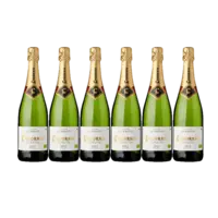Codorníu Clasico cava brut 6 flessen