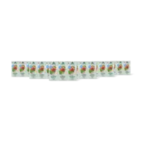 Van de Boom Troebele groene ijsthee perzik 6-pack