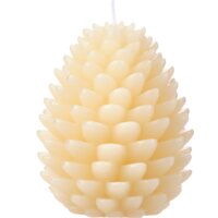 Een afbeelding van AH Excellent Vormkaars dennenappel cream