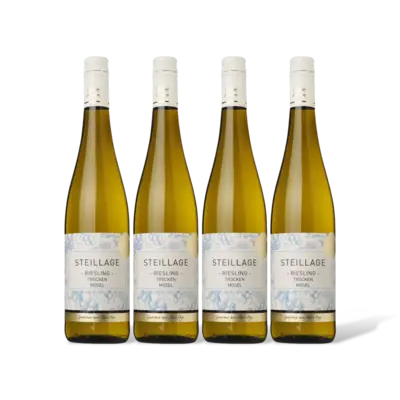 pdp-image-AH Excellent Riesling 4 flessen