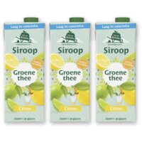 Van de Boom Groene thee citrus siroop 3-pack
