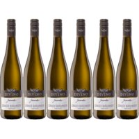 Een afbeelding van Divino Juventa grauburgunder 6 flessen