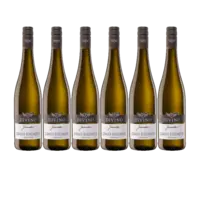 Divino Juventa grauburgunder 6 flessen