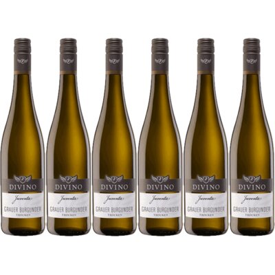 pdp-image-Divino Juventa grauburgunder 6 flessen