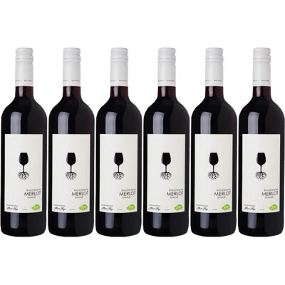 pdp-image-AH Biologisch Merlot 6 flessen