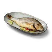 AH Excellent Hele dorade