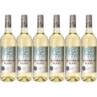 Een afbeelding van Sauvignon Moldavie Sauvignon blanc 6 stuks