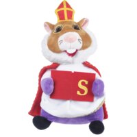 Een afbeelding van AH Hamster sint boek